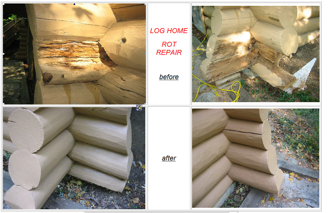 Repairing Rotten Logs - Epoxy is NOT the Answer