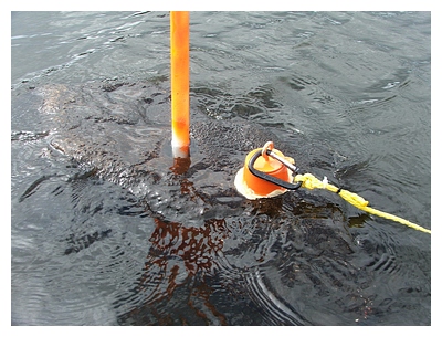 underwater epoxy repair